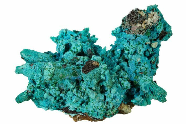 Chrysocolla and Malachite Pseudomorph - Lupoto Mine, Congo #167679